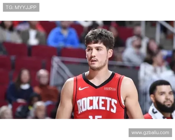 弗雷德范弗利特在NBA的崛起与影响力分析