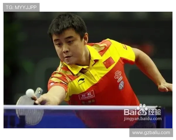 西安羽毛球队反击之路的得失与启示分析 西安羽毛球队反击之路的得失与启示分析